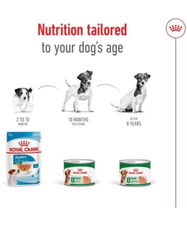 Royal Canin Mini Adult | 12 x 195 g | Wet Food for Small Breed Adult Dogs (1 to 10 kg) | From 10 Months to 12 Years | Adapted energy content - Buy Online on GoSupps.com