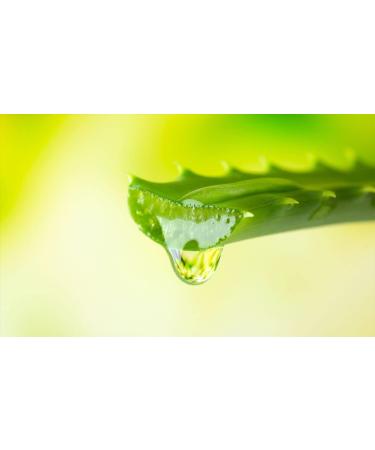 BIOEARTH SRL Vera Puro 995 Bioarth 1 lips 1 - Buy Online on GoSupps.com