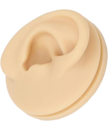 Human Right Ear Model Human Ear Model Clear Internal External Structure Soft Silicone Waterproof for Ear Learning for Suppliers - Buy Online on GoSupps.com