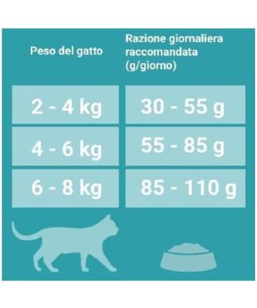 Purina One Bifensis Indoor Formula Croquettes Chats Dinde et C r ales 800g Dinde 1 unit (Lot de 1) - Buy Online on GoSupps.com