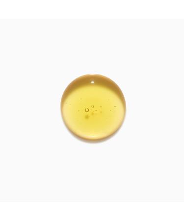 KERASTASE Elixir Ultime Oil-infused Shine Shampoo - 8.5 Fl Oz | For Dull & Dry Hair | Restores Shine with Argan, Camellia & Marula Oil - Buy Online on GoSupps.com