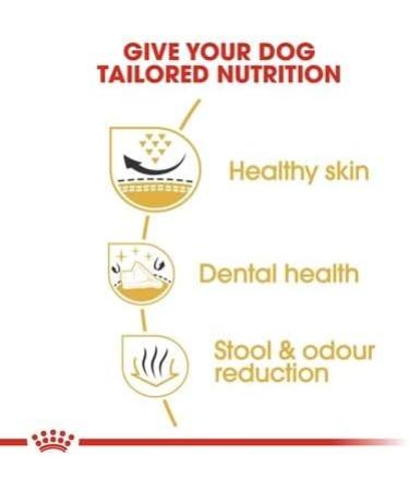 Royal Canin Shih Tzu Adult Breed Dry Dog Food 1.5kg - Buy Online on GoSupps.com