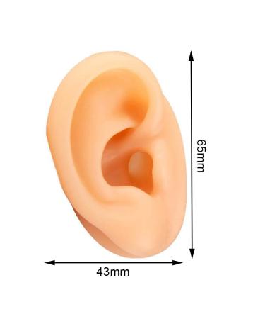 SHENGJMXIN Human Ear Model - Realistic Silicone Right Ear for Ear Picking Piercing Training & Acupuncture Practice Tool - Buy Online on GoSupps.com