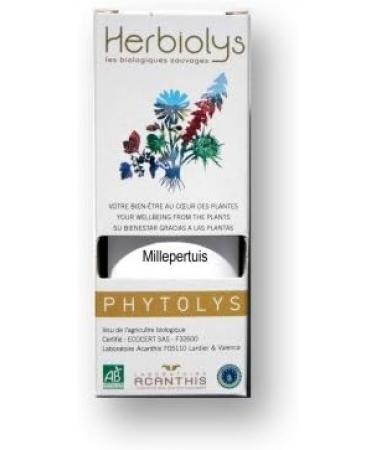 Organic Herbal Medicine St. John's wort perforated - Hypericum perforatum - Buy Online on GoSupps.com