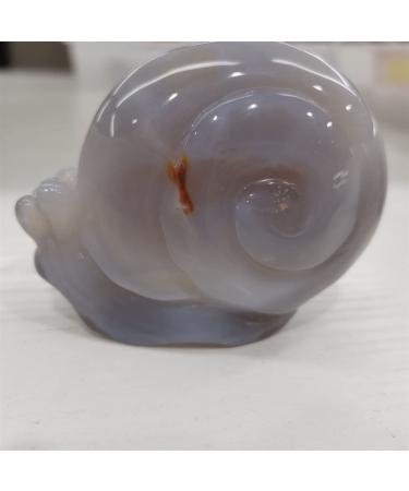 Home Decor Snail Natural Nao Amethyst Crystal Cluster Stone Specimen Home Crafts Decoration Gift Geode Gifts Natural Crystal Draw yuebang Stone Mineral Specimen