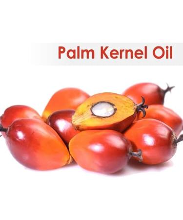 Crysalis Palm Kernel (Elaeis Guineensis) Oil |100% Pure & Natural Undiluted Carrier Oil Organic Standard| Perfect for Skin Care & Hair Care |Aromatherapy Oil| 15ml with Dropper Palm Kernel 15 ml (Pack of 1) - Buy Online on GoSupps.com