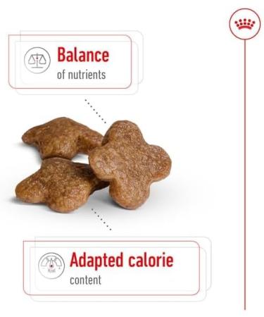 Royal Canin Mini Adult 8+ | 2 kg | Complete Food for Small Breed Dogs (up to 10 kg) in the Second Half of Their Life | From 8 Years Old | Can Help Support Vitality - Buy Online on GoSupps.com