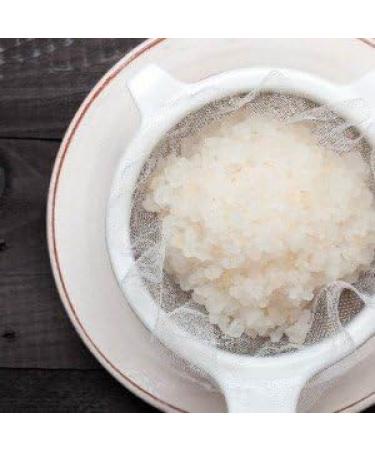 Buy Japanese Water Kefir Grains - Live Probiotics for Kombucha | 50g Crystals - Fast International Shipping - Buy Online on GoSupps.com