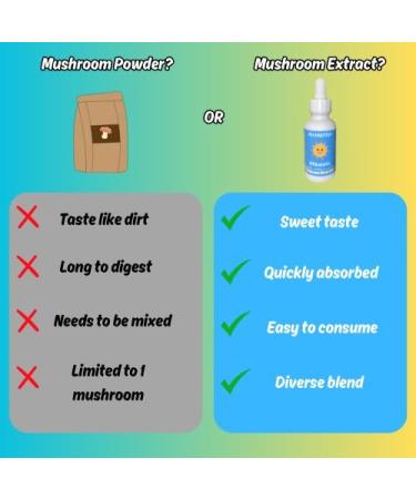 Mushroom Mornings Extract - Organic Alcohol-Free -14 Mushroom Blend Liquid Drops for Energy Focus and Immune Support - Reishi Lion's Mane Cordyceps Chaga Turkey Tail and More -1 fl oz. - Buy Online on GoSupps.com