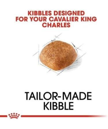 Royal Canin Cavalier King Charles Adult Dry Dog Food 7.5kg - Buy Online on GoSupps.com
