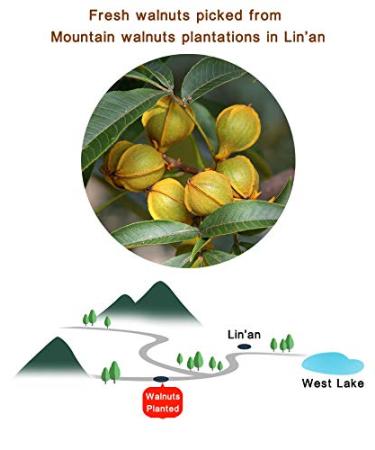 Buy Chinese Peeled Walnuts - Fresh Lin'an Walnut Kernels 170g | Creamy 1 Pack - Premium Quality - Buy Online on GoSupps.com