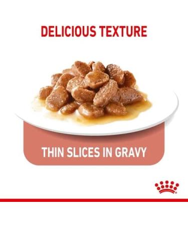 Royal Canin Appetite Control Care Adult Wet Cat Food in Gravy Adult Wet Cat Food 85g (Pack of 48) Meat 48 count (Pack of 1) - Buy Online on GoSupps.com
