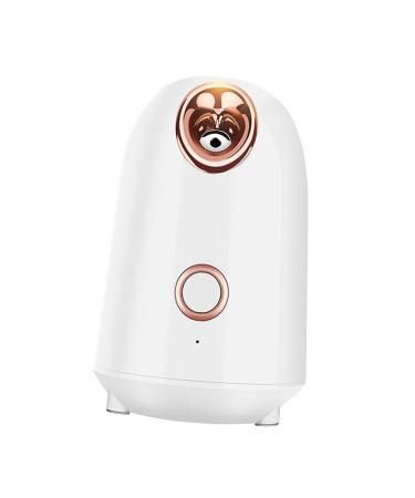 FOMIYES Water Replenishing Instrument Steamer Skin Care Mist Humidifier Face Humidifier Beauty Humidifier Nano Face Steamer Facial Mist Sprayer Facial Steamer