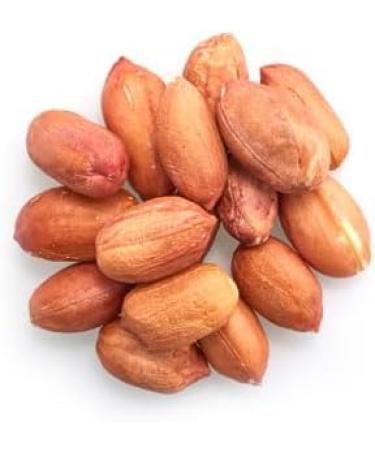 Yupik Jumbo Red Skin Peanuts Raw 1 kg 6 Count Kosher Gluten-Free Crunchy Nuts Unroasted Unsalted With Skins Oil-Free Source of Fiber Protein Snacks Ideal for Baking & Cooking 6 kg - Buy Online on GoSupps.com