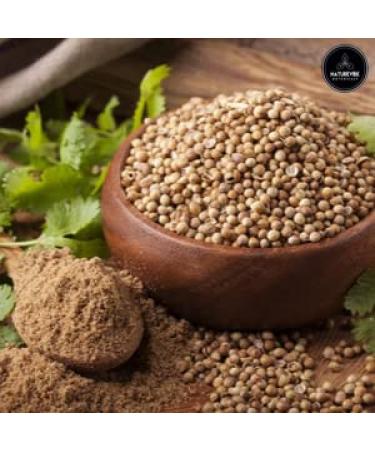 Naturevibe Botanicals Organic Coriander Seeds 1lb - Raw, Gluten-Free & Non-GMO - Adds Flavor - Pack of 1 - Buy Online on GoSupps.com