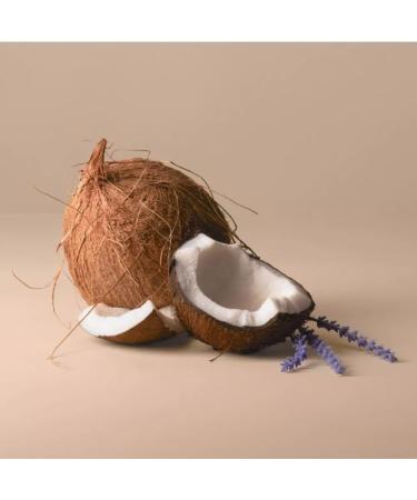 Being Frenshe Shea Butter with Jojoba and Radiance Oil for Dry Skin & Hair Lavender Cloud 4 fl oz (Scent: Floral) - Buy Online on GoSupps.com