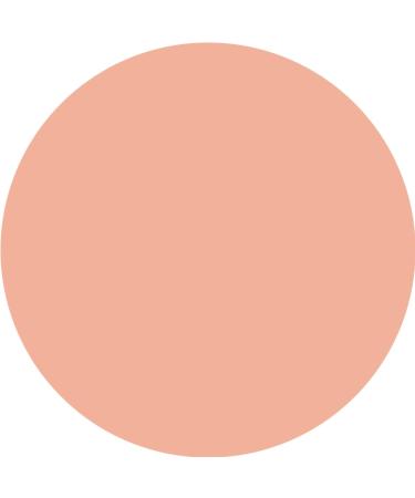 WYCON cosmetics RADIANT STICK CONCEALER Veganfriendly Concealer in romige stick 11 DEEP WARM - Buy Online on GoSupps.com