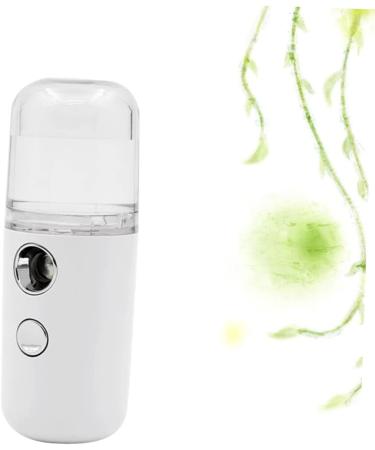 Baluue 2 Pcs Air Humidifier Handy Mini Sprayer Humidifier Face Mist Skin Care Tools for Face Portable White - Buy Online on GoSupps.com