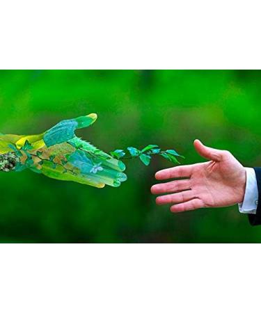 BiOHY Basic cleaner (1 litre bottle) | Removes stubborn grids and old care films - gently cleans all surfaces (Grundreiniger) - Buy Online on GoSupps.com