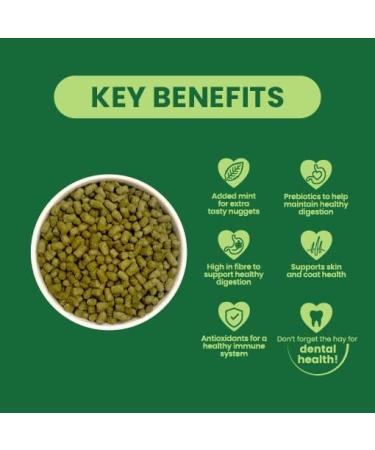 Burgess Excel Nuggets with Mint Adult Rabbit Food 3 kg 3 kg (Pack of 1) - Buy Online on GoSupps.com