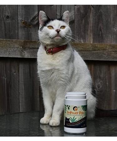 Cats Chicken Gravy Topper with Added Taurine & B Vitamins | High Protein | Supports Organ Health, Coat & Immunity | Boosts Hydration | Hypo-allergenic & Grain-Free - Buy Online on GoSupps.com