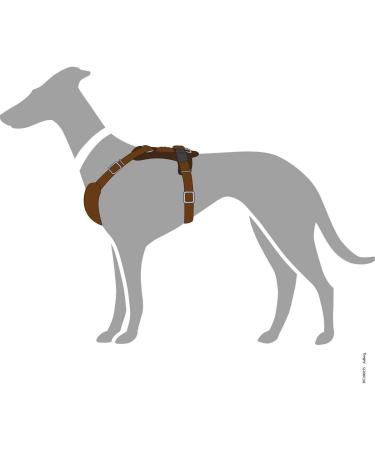 HUNTER Aalborg Dark Brown Leather Dog Harness - ML/1 | Premium International Shipping - Buy Online on GoSupps.com
