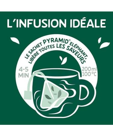 Elephant Flavored Infusion Peach Apricot and Thyme Flavor Rainforest Alliance Certified 100% Natural Ingredients - Buy Online on GoSupps.com