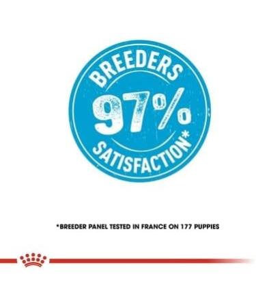 Royal Canin Mini Starter Mother & Babydog Dry Food 4kg 3 kg (Pack of 1) - Buy Online on GoSupps.com