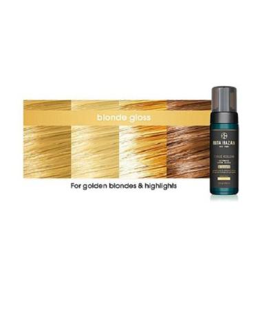 Rita Hazan Ultimate True Color Shine Gloss - Deep Conditioning Hair Gloss Treatment - 3.4 oz - Buy Online on GoSupps.com