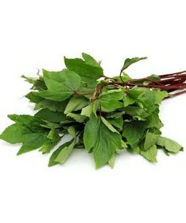 Fresh Gongura leaves Bunch | Single Bunch | Vegetarian | Puntikura Leaf | Pulicha Keerai | Fresh Gongura leaves | High Source | Indian Origin | Approx 200G - Buy Online on GoSupps.com
