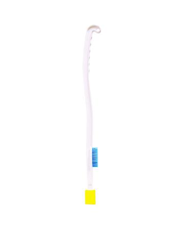 Bios Living foot brush 1 Count