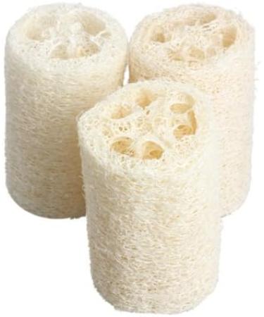 Vktech Natural Loofah Shower Sponge Scrubber - 3 Pcs Large Size - Buy Online on GoSupps.com