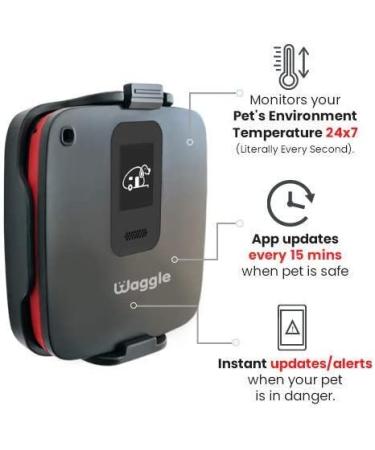 Waggle Lite RV/Dog Safety Sensor | Verizon Cellular | Instant Alerts on Temp & Humidity | Wireless Monitoring System | No WiFi | Subscription Required - Buy Online on GoSupps.com