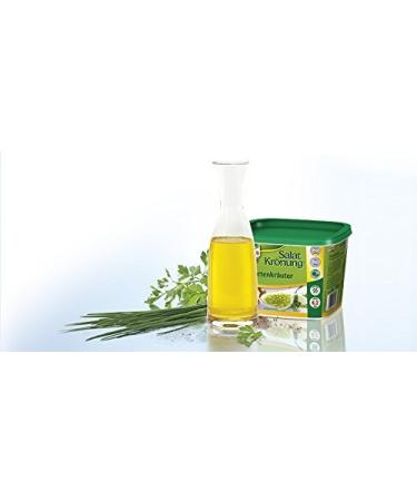 Knorr Salad Dressing Garden Herbs - 500g Pack | International Shipping Available - Buy Online on GoSupps.com