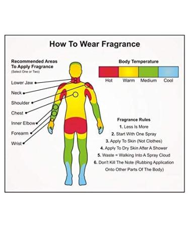 Black Open 8ml Roll-On Attar Perfume For Unisex (Non Alcoholic) 0.27 Fl Oz (Pack of 1) - Buy Online on GoSupps.com