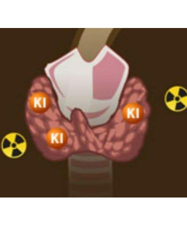 A2Z Organic Lugol's Iodine & Potassium Iodide 2% Solution 3000mcg - Liquid Thyroid Support Supplement 2 Fl Oz - Made in USA - Buy Online on GoSupps.com