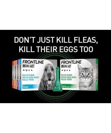 Frontline Plus For Dogs 10-20kg - 1 Pipette Flea And Tick Treatment For Dogs Frontline Flea Treatment For Dogs Frontline Spot On For Dogs Frontline For Dogs - Buy Online on GoSupps.com