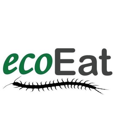 ecoEat Cricket Flour Powder - 100g Healthy Protein - Edible Insect Powder for Nutrition | International Shipping Available - Buy Online on GoSupps.com