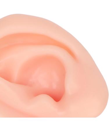 Practice Ear Model Soft Elastic Jewelry Display 1 Pair Ear Model for Beginner for Piercing Salon(Light Skin Color) - Buy Online on GoSupps.com