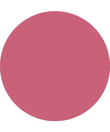  WYCON cosmetics WYCON Cosmetic EVERLASTING 24H Automatic Lip Pencil with Soft Texture Precise Application and Intense Color Extra Long Lasting - 22 TRICKY GIRL - Buy Online on GoSupps.com