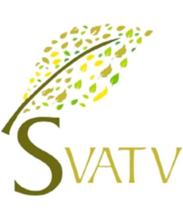 SVATV Herbal Tusli Loose Tea Leaf | Holy Basil Tea | Immune Support | Healthy Inflammatory Response | Rich Antioxidants - 100g 3.52 oz 0.22 Lbs - Buy Online on GoSupps.com