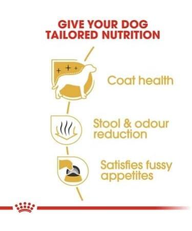 Royal Canin Maltese Adult Dry Dog Food 1.5kg (Pack of 2) - Buy Online on GoSupps.com