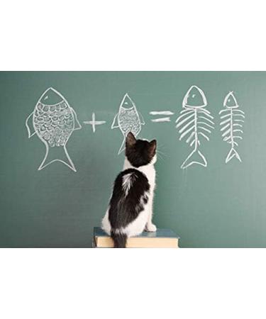 I LOVE MY PETS LLC Omega-3 for Cats - Omega 3 Fatty ACIDS for Cats - Best Health Option - Premium - cat Omega 3-540 Softgels (3 Bottles) - Buy Online on GoSupps.com