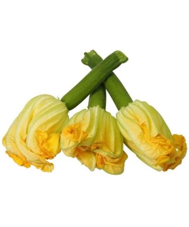Courgette Flowers x 15