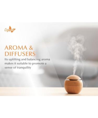 Crysalis Palo Santo (Bursera graveolens) Oil - 1.01 Fl Oz (30ml) - Buy Online on GoSupps.com