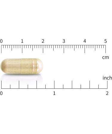 CBI Natural 20:1 Concentrated Noni 500mg 120 Capsules - Buy Online on GoSupps.com