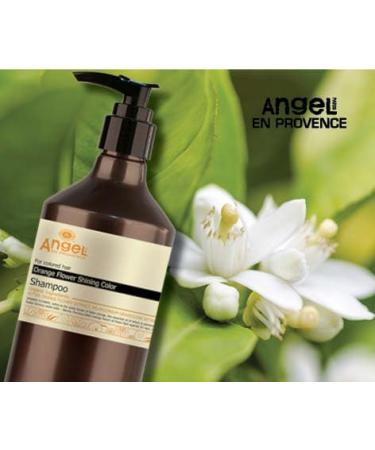 Angel Orange Flower Shining Colour Shampoo 400 ml - Buy Online on GoSupps.com