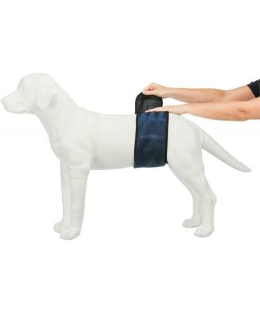 Trixie Belly Band for Male Dogs 45-55 cm | Dark Blue | Comfortable & Secure Dog Diaper | Ideal for Training & Travel - Buy Online on GoSupps.com