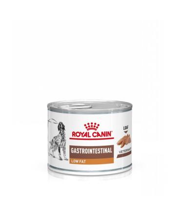 Royal Canin Gastrointestinal Low Fat Mousse |12 x 200 g |Diet all-in feed for adult dogs |Can contribute to the support of healthy digestion