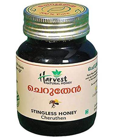 JARA Natural Stingless Bee Honey 100 natural organic product from Western Ghats of Kerala 100 G